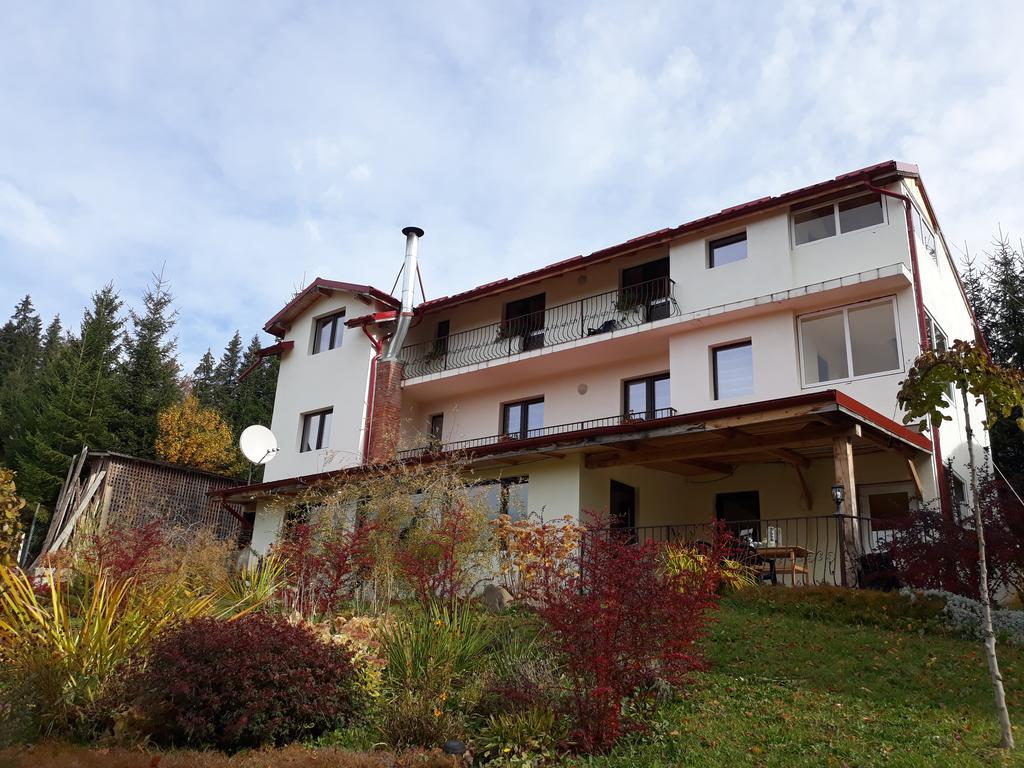 Pensiunea Lu' Movila Durau Exterior photo